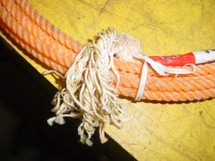 Classic Equine Classic Junior Youth Rope 5/16 x 28′