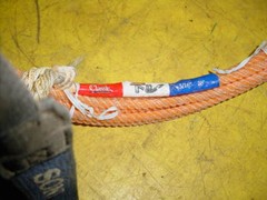 Classic Equine Classic Junior Youth Rope 5/16 x 28′