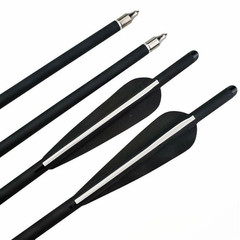 20 Inch Crossbow Arrows with 4″ Vane 125 Grain Arrowheads Archery Hunting 12PACK