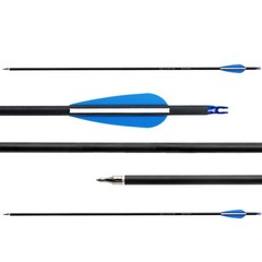 Archery Arrows Dense Shaft 12pcs 31″ Training Practice Shoting Hunting Quiver
