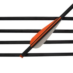 16/18/20/22 Archery Mixed Carbon Arrow Crossbow Bolts Target Hunting Orange Vane
