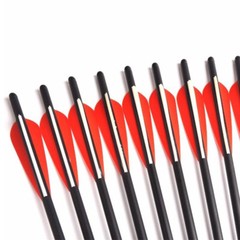 12Pcs 20″ Crossbow Bolts Mixed Carbon Hunting Arrow Changeable Tips Half Nocks