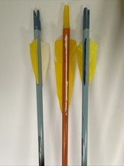 Browning Arrows, Lot 10 – 32.5in And 27.5in – With Carry Case