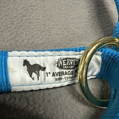 1″ Nylon Adjustable Leather Crown Halter Horse Teal Brass Average 35-6025-HB