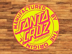 Santa Cruz Skateboards Hi-Lite Water Proof UV Safe Glossy Vinyl Sticker Skate