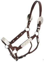 Dark Oil Yearling Show Halter – Congress Cut Silver – Matching Lead Shank
