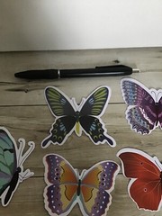 BUTTERFLIES Butterfly Stickers Vinyl Waterproof PVC Luggage Laptop Decals Lot