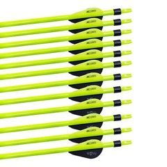 31″ Pure/Mixed Carbon Arrows 2″ Vane Spine 350-500 Compound Recurve Bow Hunting