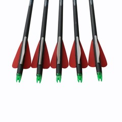 12pcs Archery 30″ inch Carbon Arrows SP500 Outdoor Bow Hunting Practice Target