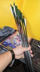 X11 Arrows Turners Outdoorsman California 400 T6
