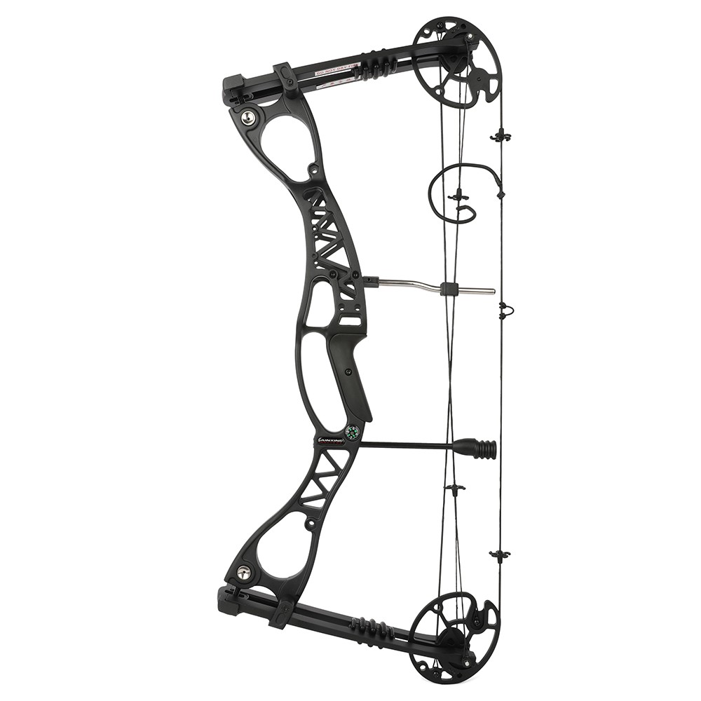 Archery 0-70lbs 33» Compound Bow Set Arrow 320fps Let-off 80% Target Shooting