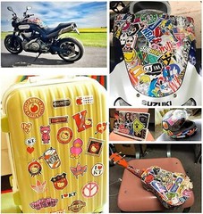 1000 Random Skateboard Stickers Bomb Laptop Luggage Decals Dope Sticker Pack Lot