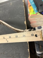 Vtg Excalibur Exomax Crossbow 225 Lb Draw 350+ FBS No Scope Hunting Canada Deer