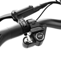 Ausom DT2 Pro Foldable Electric Scooter,2*1100W Motor,71mile Max Range E-Scooter