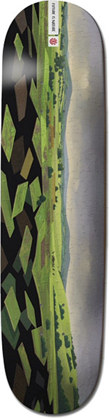 ELEMENT LANDSCAPE EUROPE SKATEBOARD DECK-8.5 w/ grip