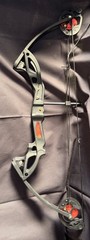 Pandarus Compound Bow Set Archery Kit w/ 12 Arrows Right Handed Pro