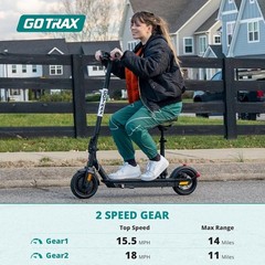 Lightweight Fusion Seat Scooter with 300W Motor – 8.5″ Tires, 264 lbs Capacity