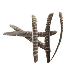 50X Full Length Arrow Feathers Turkey Fletches Fletching RW LW Archery Shaft DIY