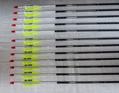 NEW – EASTON – FMJ (Full Metal Jacket) – 1 DZ – AAE Hybrid Vanes – 400 Spine