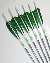 Goldtip warriors arrows for Traditional archery