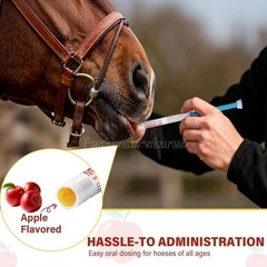 100Pack New Paste Wormer Horse Dewormer Apple Flavor US Free Shipping