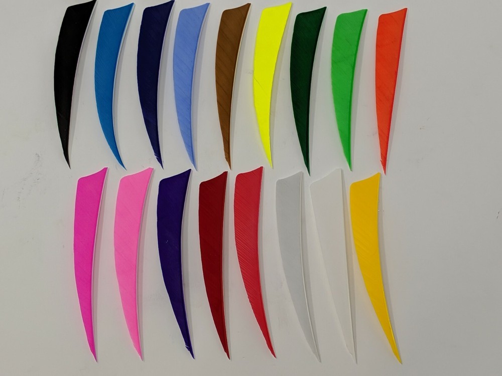 Archery Past 4″ Shield Feathers – 12 Pack, RW or LW