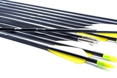 12Pcs 28″ Fiberglass Arrows for Shooting Hunting Target Practice Youth Archery