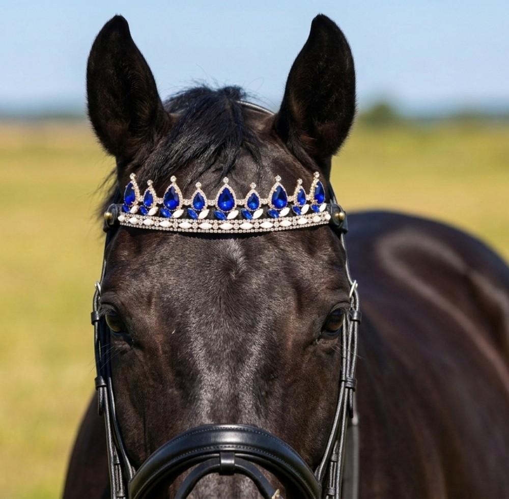 Royal Blue Crystal Horse Browband Gold Rhinestone Show Bridle