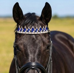 Royal Blue Crystal Horse Browband Gold Rhinestone Show Bridle
