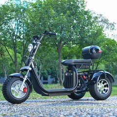 3000W powerful electric 3-wheeled vehicle with a max speed 28MPH max load 550IB