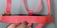 NEW PINK LARGE 1100 – 1500 LBS NYLON HORSE HALTER GOLD TONE HARDWARE