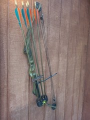 Bear Whitetail II Vintage Compound Bow Camouflage W/ Arrows And Broadheads Quive