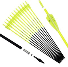 30-Inch Fluorescent Carbon Arrows for Target Practice & Hunting – Pack of 12