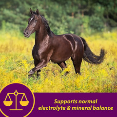 Horse Health Apple-Dex Apple Flavored Electrolytes 30 Pound 240 Days