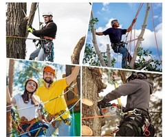 Climbing Half Body Harness Rope Arborist Saddle Tree Bridge Caving Rescue