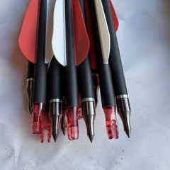 330-Pcs Archery Arrows 31.5” Length 5/16” Diameter Mixed Styles