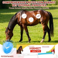 10 Pack New Paste Wormer Horse Dewormer Apple Flavor US Free Shipping