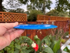 Blue Teedevil Prototype First Run (Pre-Release) Disc Golf 175G Innova #3301