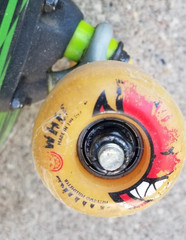 VTG Satellite Skateboard Cruiser Skulls Roses Green 31 Inches USA