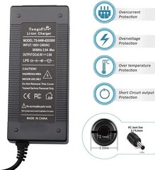 Lightweight 42V 2A Charger with LED Indicators – Compatible with GOTRAX