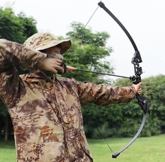 Archery Bows for Adults, Takedown Aluminum Alloy Riser Bow and Arrow Set for …