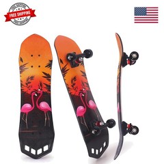 27″x 8″ Complete Skateboard for Beginners Youth Teens Kids Boys or Girls with…