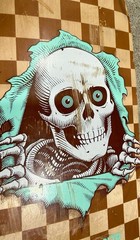 Powell Peralta Ripper Skateboard Deck Ripper Checkerboard Graphic Art