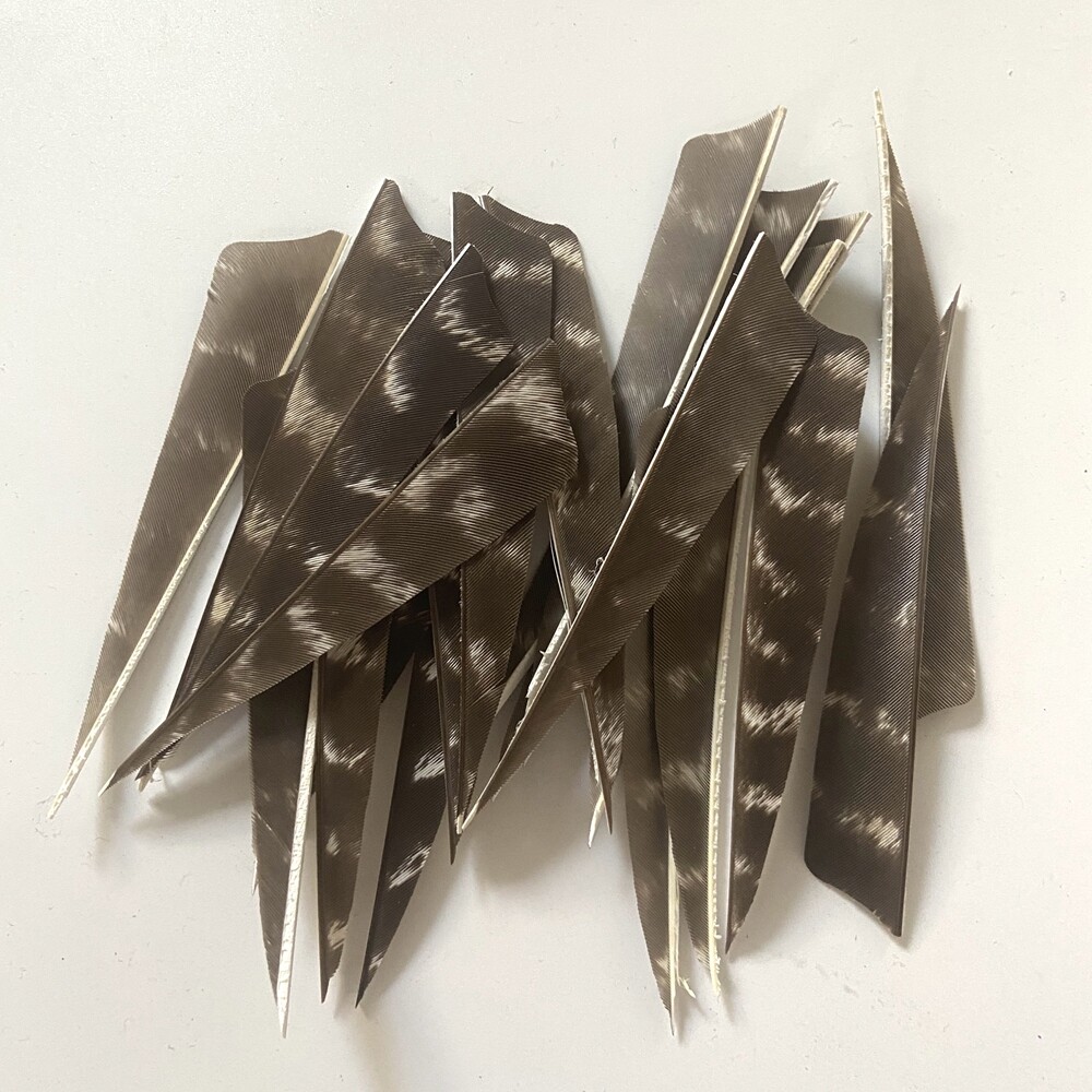 Archery Turkey Feather Right Wing 5in Barred Fletches Hunting Arrows Art Craft