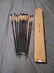 Bio Reeg Crossbow Bolts 12. 18 Inches Carbon Arrows Hunting Archery(Pack of 12)