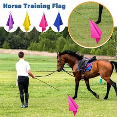 Equestrian Training Flag 4 18 x 18 inches, Yellow, Pink, Purple, Dark Blue