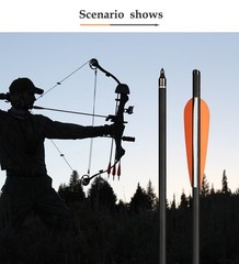 Archery Carbon Arrows 20in Crossbow Bolts +/or Arrow Quiver Bow Hunting Practice