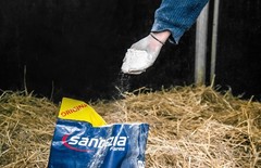 Sandezia Bedding Drying Powder, Order Eliminator, Fresh Eucalyptus 10 lb Bucket