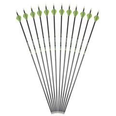 6-PACK 30″ Pure Carbon Arrows Spine 300/350/400 Archery Outdoor Hunting Target