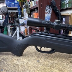 Gamo Swarm Whisper .22 Cal Pellet Break Barrel Rifle Air Gun